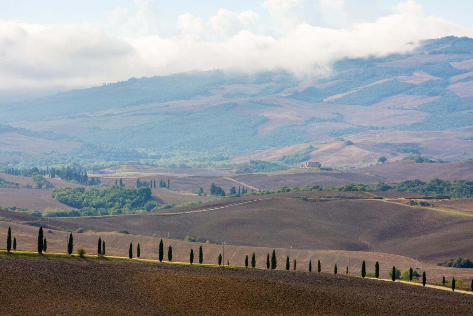 Podere Belvedere * Sienne