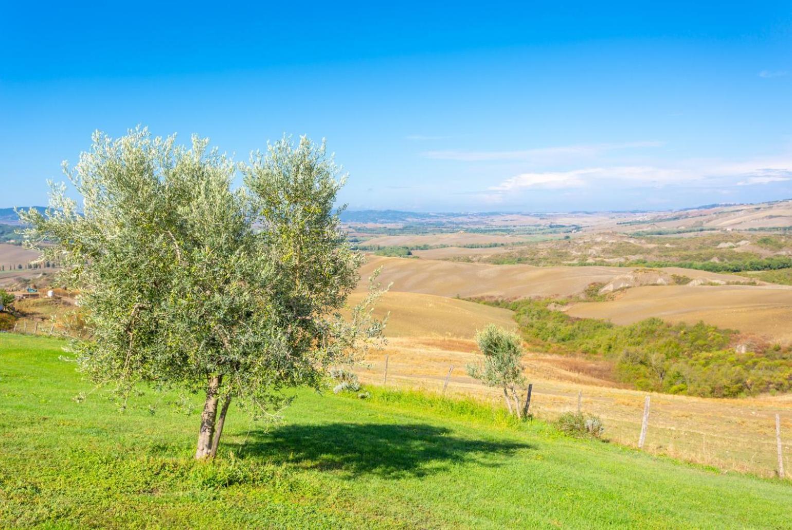 Pousada Podere Belvedere *